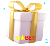 Receba seus bônus de boas-vindas no Snkbet